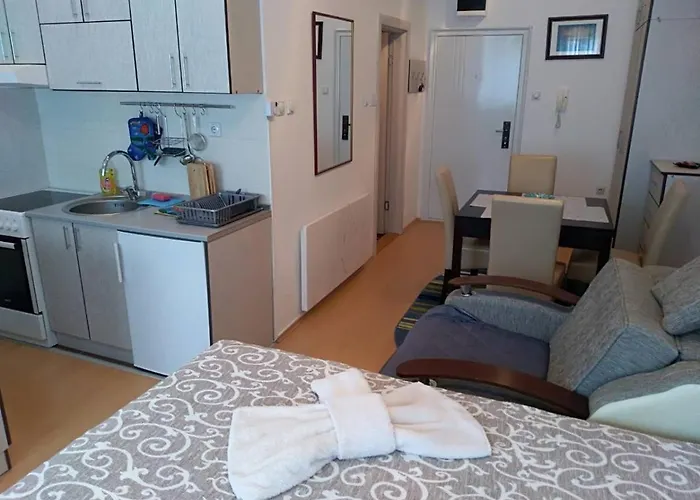 Smestaj Vesna 아파트 소코 반자