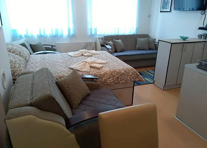 Smestaj Vesna 아파트 *