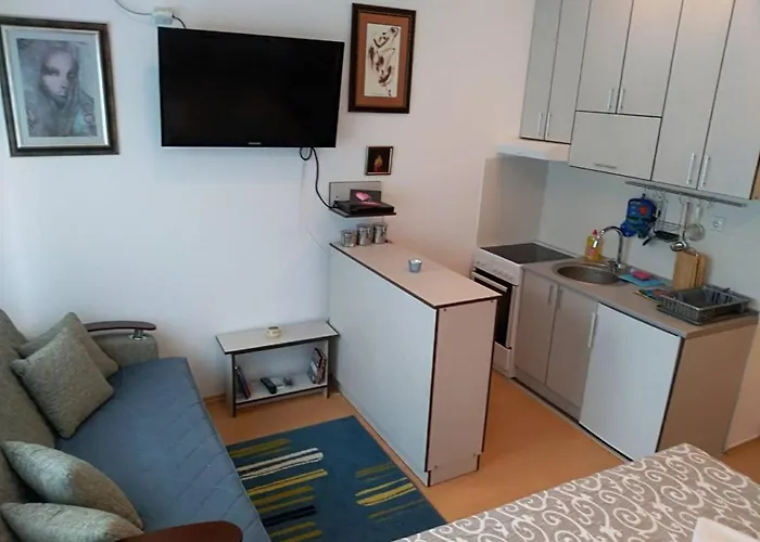 Smestaj Vesna 아파트