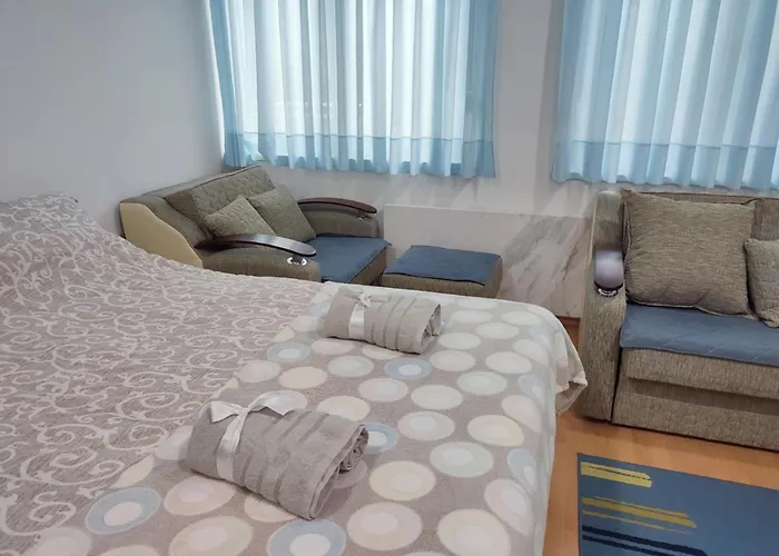 아파트 Smestaj Vesna 소코 반자